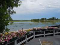 nldscn0914_small.jpg