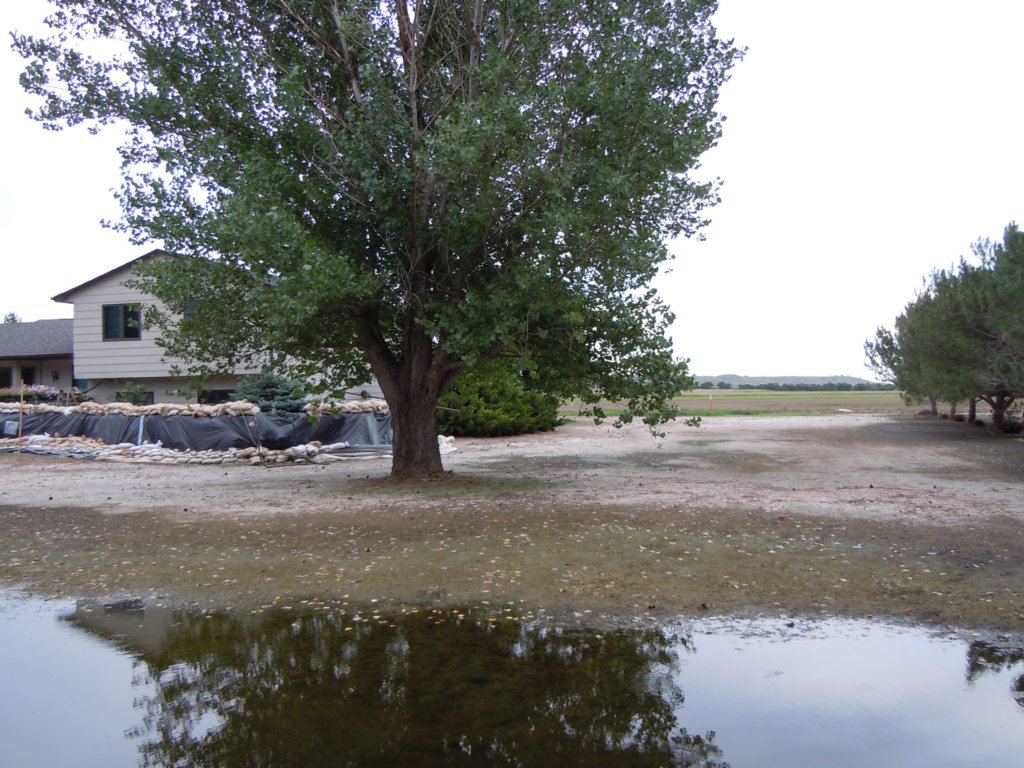 nldscn1071.jpg