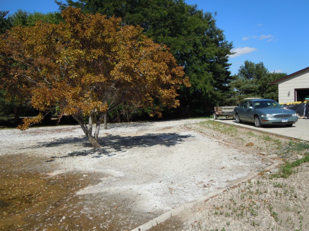 nldscn1090.jpg