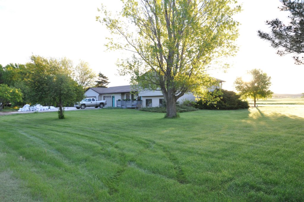 rldsc_0371.jpg