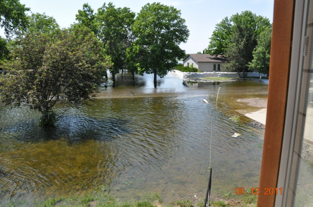 rldsc_0608.jpg