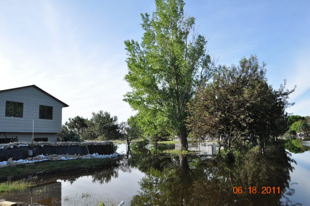 rldsc_0733.jpg