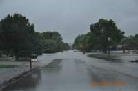 rldsc_0874_small.jpg