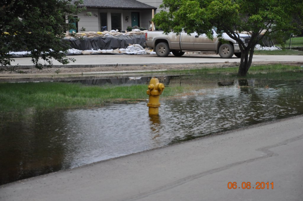 frontyard2.jpg
