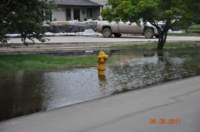 frontyard2_small.jpg