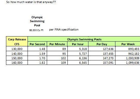 waterfactsolympicswimmingpoolsa.jpg